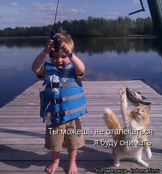Ты можешь не отвлекаться я буду снимать... Котоматрица: Ты можешь не отвлекаться я буду снимать