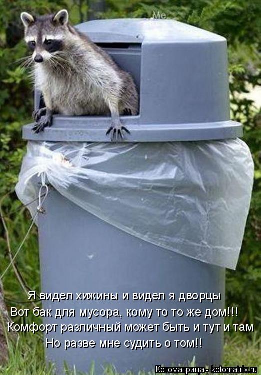 Котоматрица: Комфорт различный может быть и тут и там Но разве мне судить о том!! Я видел хижины и видел я дворцы Вот бак для мусора, кому то то же дом!!!