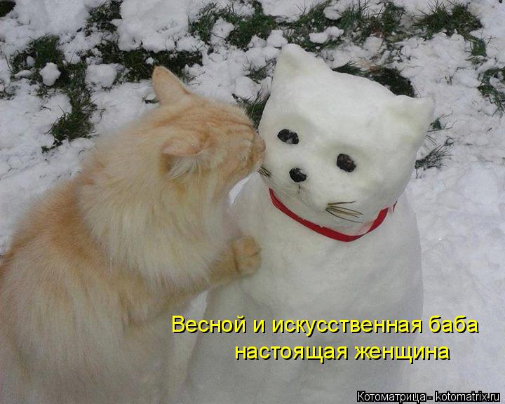 Котоматрица: Весной и искусственная баба настоящая женщина