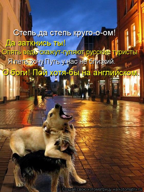 Котоматрица: Степь,да степь круго-о-ом! Да заткнись ты!  Опять ведь скажут-гуляют русские туристы. Я петь хочу.Путь у нас не близкий. О боги! Пой хотя-бы на а