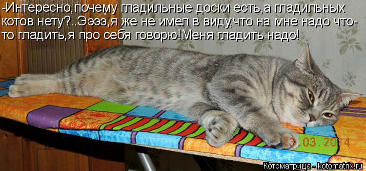 Котоматрица: -Интересно,почему гладильные доски есть,а гладильных котов нету?..Ээээ,я же не имел в виду,что на мне надо что- то гладить,я про себя говорю!Ме