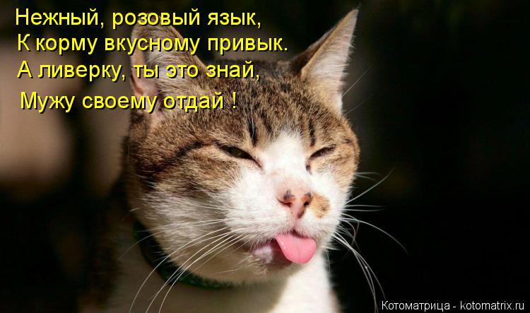 Котоматрица: Нежный, розовый язык, К корму вкусному привык. А ливерку, ты это знай, Мужу своему отдай !