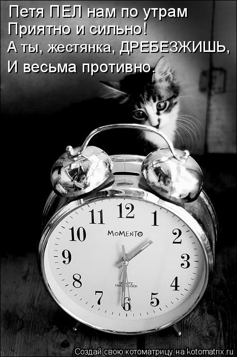 Котоматрица: Петя ПЕЛ нам по утрам Приятно и сильно! А ты, жестянка, ДРЕБЕЗЖИШЬ, И весьма противно.