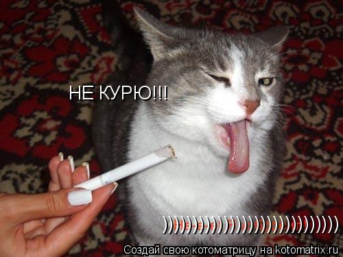 ))))))))))))))))))))))))))))) НЕ КУРЮ!!!... Котоматрица: ))))))))))))))))))))))))))))) НЕ КУРЮ!!!