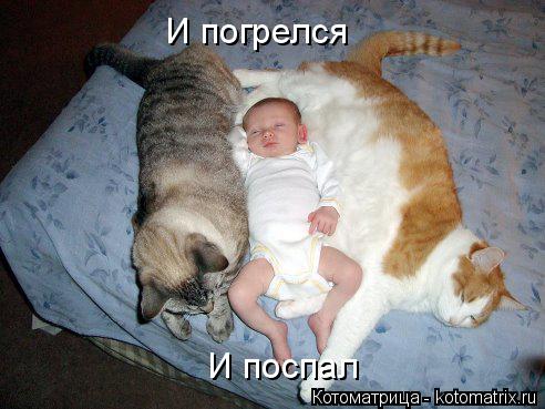 Котоматрица: И погрелся И поспал