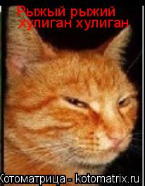 Котоматрица: Рыжый рыжий хулиган хулиган