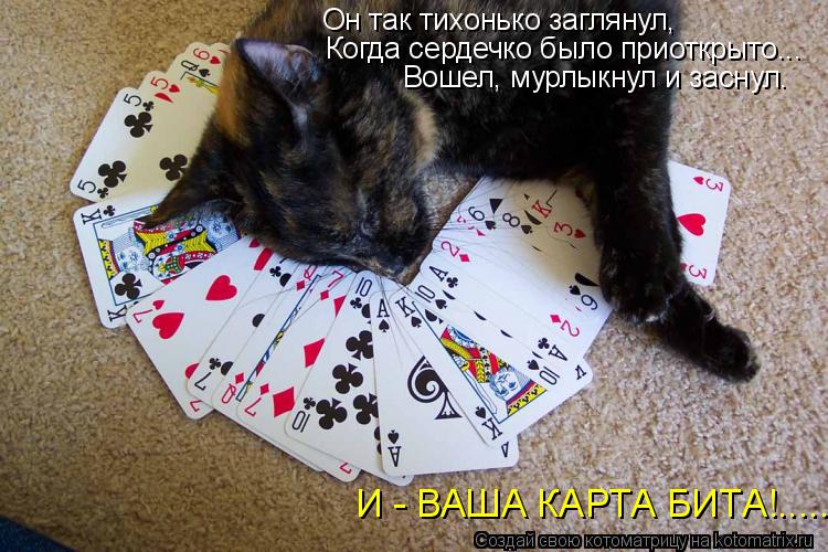 Котоматрица: Он так тихонько заглянул, Когда сердечко было приоткрыто... Вошел, мурлыкнул и заснул. И - ВАША КАРТА БИТА!.....