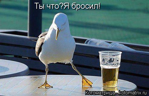 Ты что?Я бросил!... Котоматрица: Ты что?Я бросил!