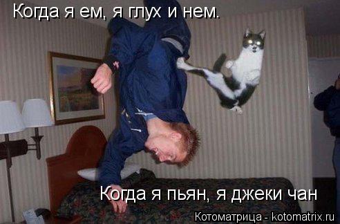 Котоматрица: Когда я ем, я глух и нем. Когда я пьян, я джеки чан