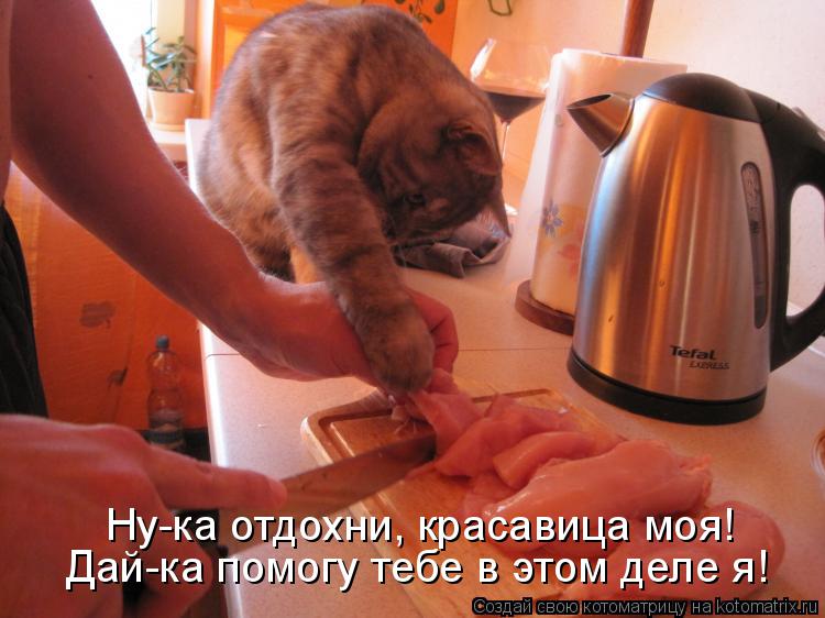 Котоматрица: Дай-ка помогу тебе в этом деле я! Ну-ка отдохни, красавица моя!