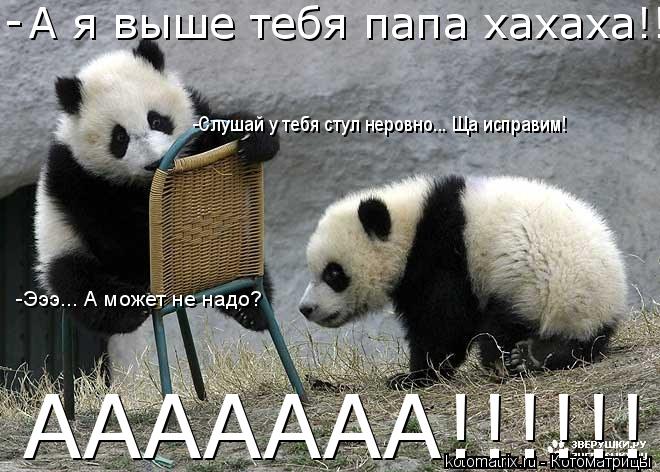 Котоматрица: - -Слушай у тебя стул неровно... Ща исправим! -Эээ... А может не надо? ААААААА!!!!!!!!!!!!!!!!!!!! А я выше тебя папа хахаха!!!