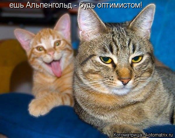 Котоматрица: ешь Альпенгольд - будь оптимистом!