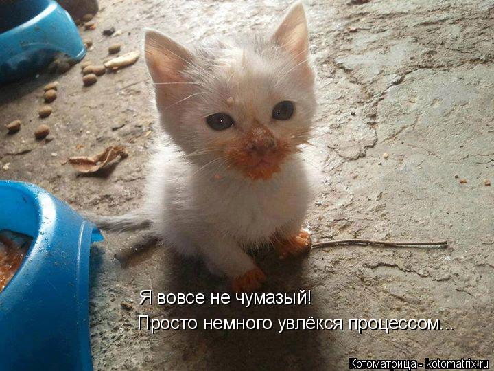 Просто немного увлёкся процессом... Я вовсе не чумазый!... Котоматрица: Просто немного увлёкся процессом... Я вовсе не чумазый!