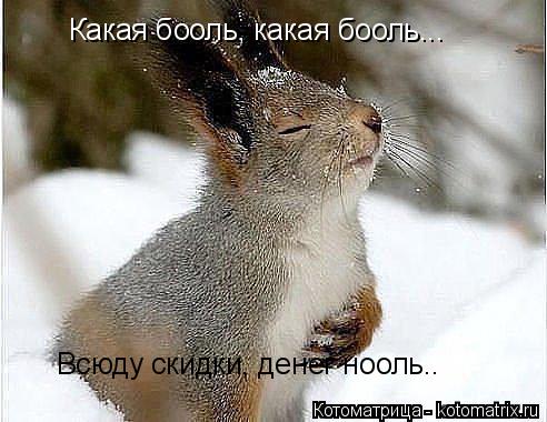 Котоматрица: Какая бооль, какая бооль... Всюду скидки, денег нооль..