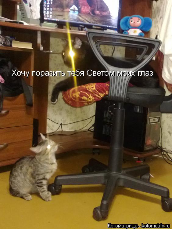 Хочу поразить тебя Светом моих глаз... Котоматрица: Хочу поразить тебя Светом моих глаз