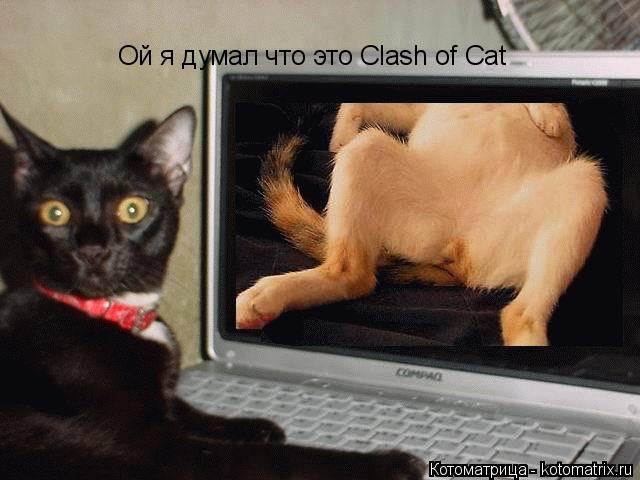 Котоматрица: Ой я думал что это Clash of Cat