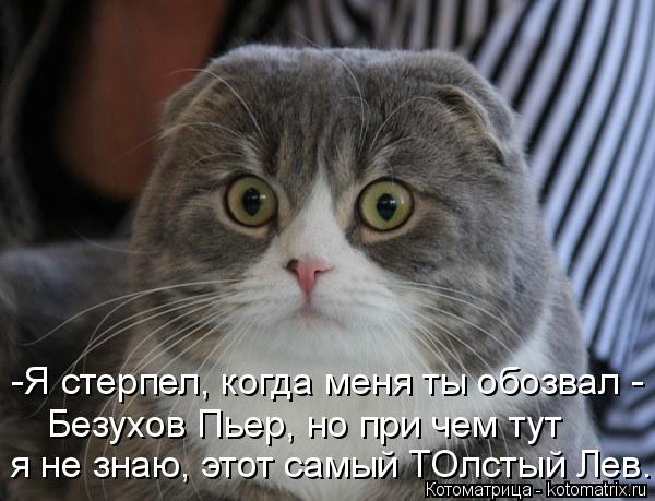 я не знаю, этот самый ТОлстый Лев. -Я стерпел, когда меня ты обозвал - Безухов Пьер, но при чем тут... Котоматрица: я не знаю, этот самый ТОлстый Лев. -Я стерпел, когда меня ты обозвал - Безухов Пьер, но при чем тут