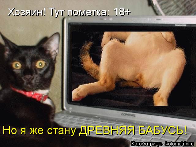 Хозяин! Тут пометка: 18+ Но я же стану ДРЕВНЯЯ БАБУСЬ!... Котоматрица: Хозяин! Тут пометка: 18+ Но я же стану ДРЕВНЯЯ БАБУСЬ!
