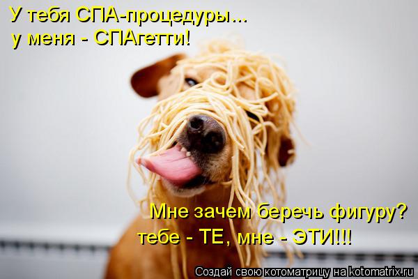 Котоматрица: У тебя СПА-процедуры... у меня - СПАгетти! Мне зачем беречь фигуру? тебе - ТЕ, мне - ЭТИ!!!