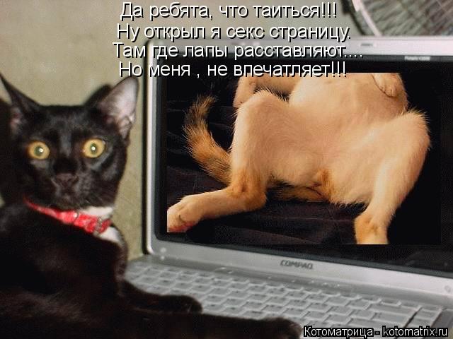 Ну открыл я секс страницу. Там где лапы расставляют.... Но меня , не впечатляет!!! Да ребята, что таи... Котоматрица: Ну открыл я секс страницу. Там где лапы расставляют.... Но меня , не впечатляет!!! Да ребята, что таиться!!!