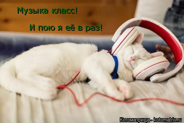 Котоматрица: Музыка класс! И пою я её в раз!