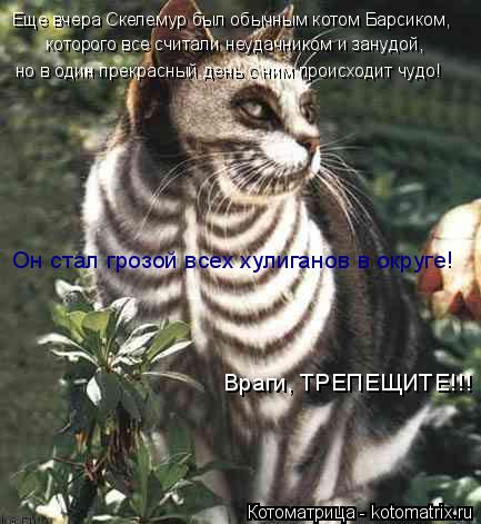Он стал грозой всех хулиганов в округе! Враги, ТРЕПЕЩИТЕ!!! но в один прекрасный день с ним происходи... Котоматрица: Он стал грозой всех хулиганов в округе! Враги, ТРЕПЕЩИТЕ!!! но в один прекрасный день с ним происходит чудо! Еще вчера Скелемур был обычным к