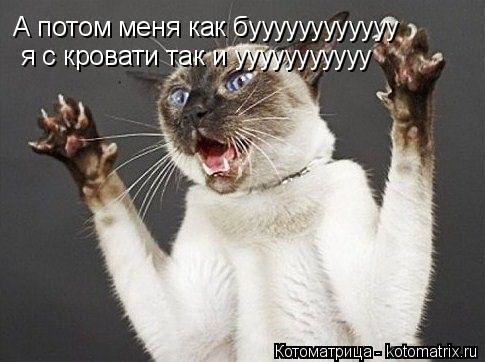 А потом меня как буууууууууууу я с кровати так и ууууууууууу... Котоматрица: А потом меня как буууууууууууу я с кровати так и ууууууууууу