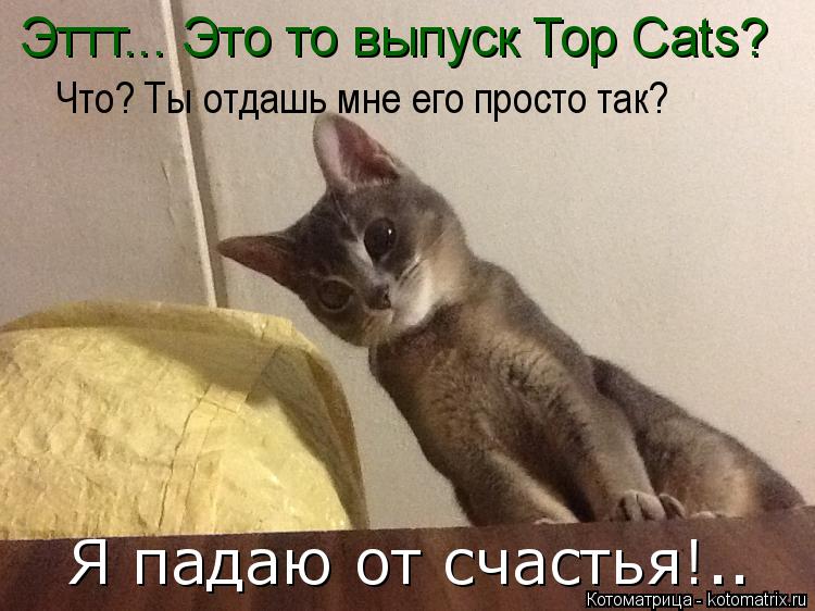 Котоматрица: Эттт... Это то выпуск Top Cats? Что? Ты отдашь мне его просто так? Я падаю от счастья!..