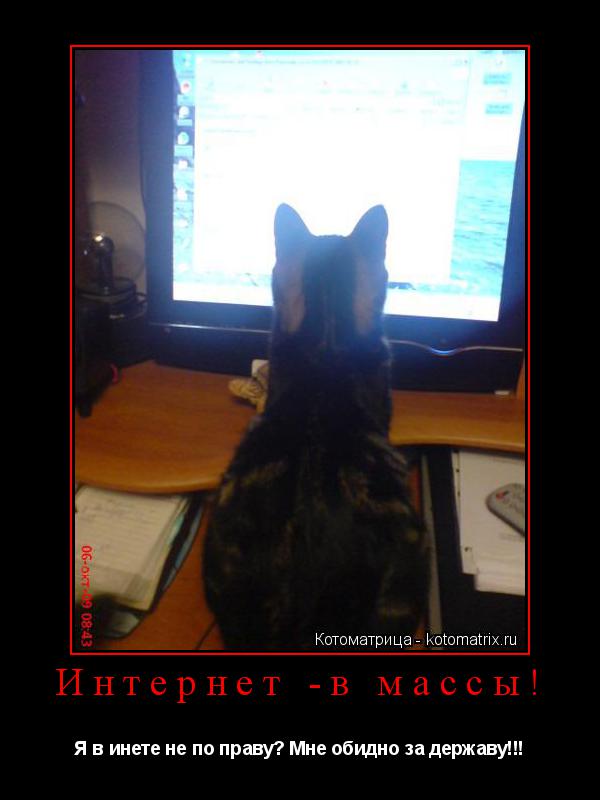 Котоматрица: Интернет -в массы! Я в инете не по праву? Мне обидно за державу!!!