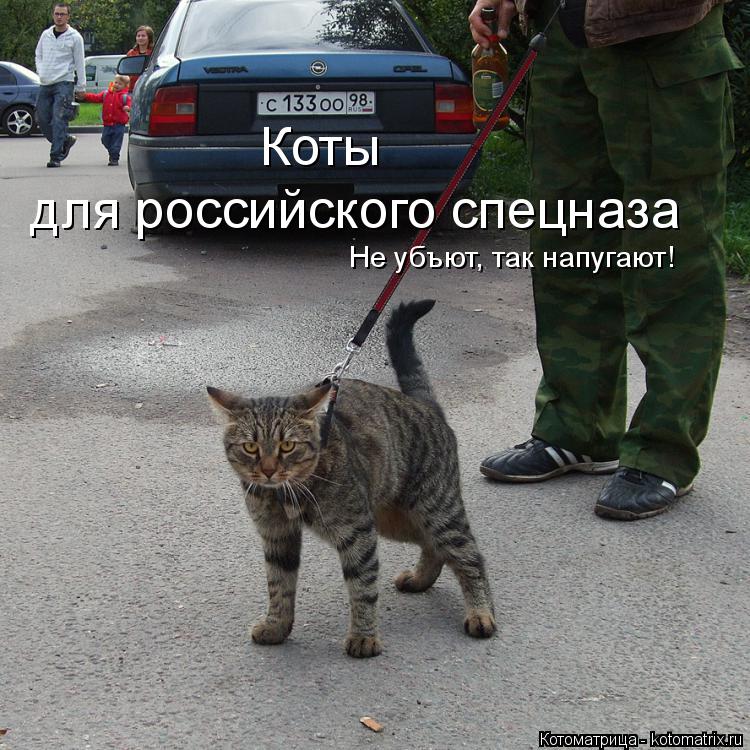 Коты для российского спецназа Не убъют, так напугают!... Котоматрица: Коты для российского спецназа Не убъют, так напугают!
