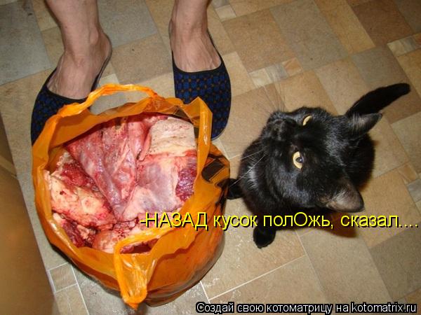 -НАЗАД кусок полОжь, сказал....... Котоматрица: -НАЗАД кусок полОжь, сказал....