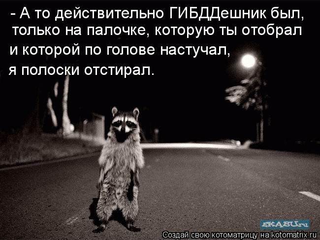 - А то действительно ГИБДДешник был, только на палочке, которую ты отобрал и которой по голове наст... Котоматрица: - А то действительно ГИБДДешник был, только на палочке, которую ты отобрал и которой по голове настучал, я полоски отстирал.