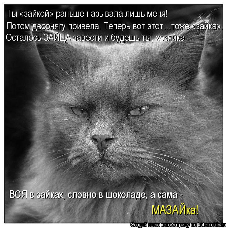 Котоматрица: Ты «зайкой» раньше называла лишь меня! Потом дворнягу привела. Теперь вот этот…тоже «зайка». Осталось ЗАЙЦА завести и будешь ты, хозяйка ВС