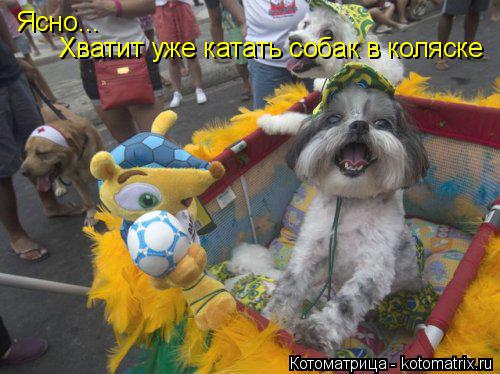 Ясно... Хватит уже катать собак в коляске... Котоматрица: Ясно... Хватит уже катать собак в коляске