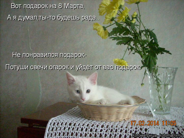 Вот подарок на 8 Марта, А я думал,ты-то будешь рада.. Не понравился подарок- Потуши свечи огарок и уй... Котоматрица: Вот подарок на 8 Марта, А я думал,ты-то будешь рада.. Не понравился подарок- Потуши свечи огарок и уйдёт от вас подарок.