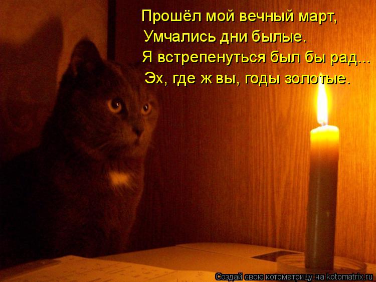 Прошёл мой вечный март, Умчались дни былые. Я встрепенуться был бы рад... Эх, где ж вы, годы золотые.... Котоматрица: Прошёл мой вечный март, Умчались дни былые. Я встрепенуться был бы рад... Эх, где ж вы, годы золотые.