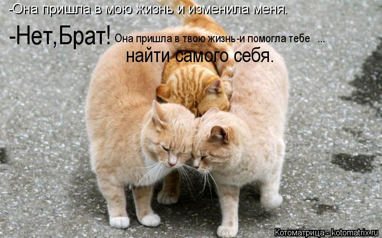 Котоматрица: -Она пришла в мою жизнь и изменила меня. -Нет,Брат! Она пришла в твою жизнь-и помогла тебе  ... найти самого себя.
