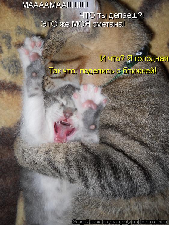 МААААМАА!!!!!!!!! ЧТО ты делаеш?! ЭТО же МОЯ сметана! И что? Я голодная. Так что, поделись с ближней!... Котоматрица: МААААМАА!!!!!!!!! ЧТО ты делаеш?! ЭТО же МОЯ сметана! И что? Я голодная. Так что, поделись с ближней!