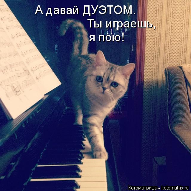 А давай ДУЭТОМ. Ты играешь, я пою!... Котоматрица: А давай ДУЭТОМ. Ты играешь, я пою!