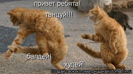 Котоматрица: привет ребята! танцуй!!! балдей! худей!