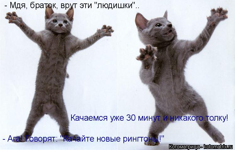 - Мдя, браток, врут эти "людишки".. - Ага! Говорят: "Качайте новые рингтоны!" Качаемся уже 30 минут ... Котоматрица: - Мдя, браток, врут эти "людишки".. - Ага! Говорят: "Качайте новые рингтоны!" Качаемся уже 30 минут и никакого толку!