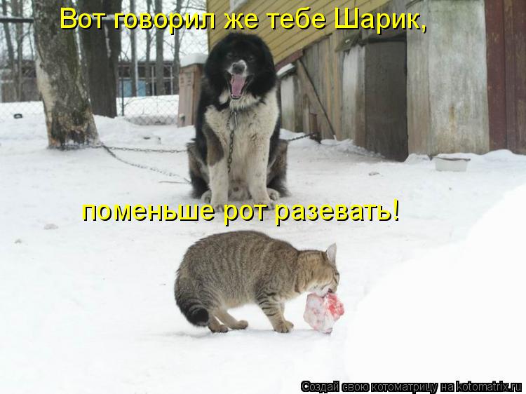 Котоматрица: Вот говорил же тебе Шарик, поменьше рот разевать!