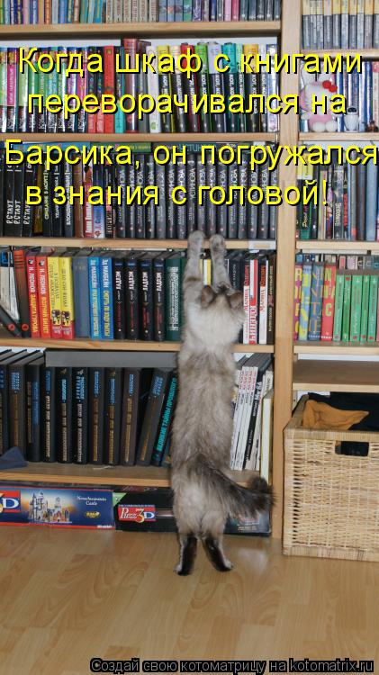 в знания с головой! Когда шкаф с книгами переворачивался на Барсика, он погружался... Котоматрица: в знания с головой! Когда шкаф с книгами переворачивался на Барсика, он погружался