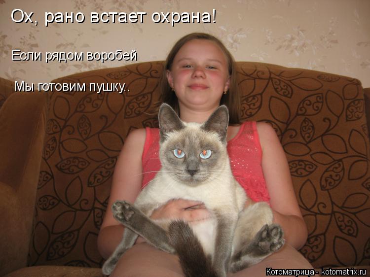 Ох, рано встает охрана! Если рядом воробей Мы готовим пушку..... Котоматрица: Ох, рано встает охрана! Если рядом воробей Мы готовим пушку..