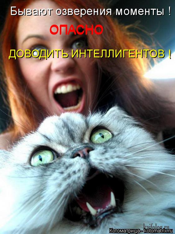Бывают озверения моменты ! ОПАСНО ОПАСНО ДОВОДИТЬ ИНТЕЛЛИГЕНТОВ ! !... Котоматрица: Бывают озверения моменты ! ОПАСНО ОПАСНО ДОВОДИТЬ ИНТЕЛЛИГЕНТОВ ! !