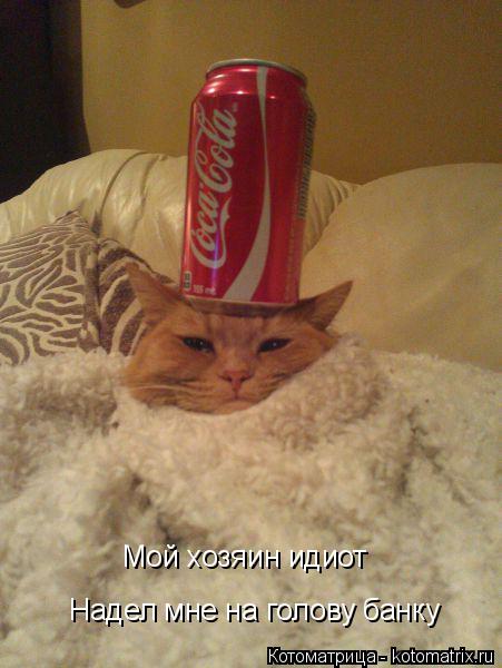 Мой хозяин идиот Надел мне на голову банку... Котоматрица: Мой хозяин идиот Надел мне на голову банку