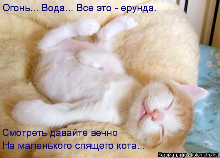 Огонь... Вода... Все это - ерунда. Смотреть давайте вечно На маленького спящего кота...... Котоматрица: Огонь... Вода... Все это - ерунда. Смотреть давайте вечно На маленького спящего кота...