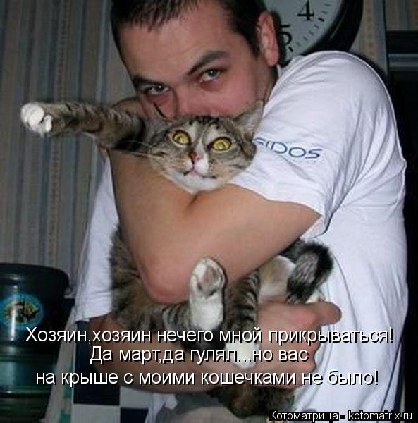 Хозяин,хозяин нечего мной прикрываться! Да март,да гулял...но вас на крыше с моими кошечками не было!... Котоматрица: Хозяин,хозяин нечего мной прикрываться! Да март,да гулял...но вас на крыше с моими кошечками не было!