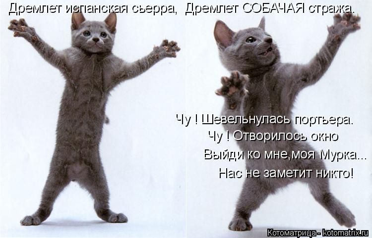 Дремлет испанская сьерра, Дремлет СОБАЧАЯ стража. Чу ! Шевельнулась портьера. Чу ! Отворилос... Котоматрица: Дремлет испанская сьерра, Дремлет СОБАЧАЯ стража. Чу ! Шевельнулась портьера. Чу ! Отворилось окно Выйди ко мне,моя Мурка... Нас не за