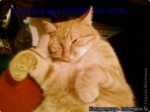 Расскажи мне СКАЗКУ НА НОЧЬ... Котоматрица: Расскажи мне СКАЗКУ НА НОЧЬ